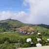 Lucill 