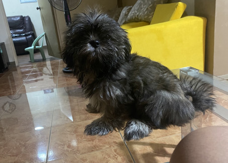 Gil, 30, Philippines