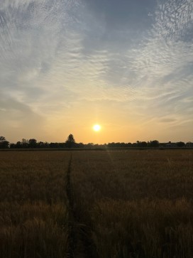 Darkextrmedesires, 23, India