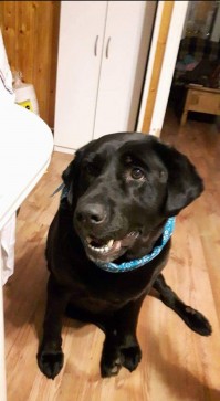 Eventful_Eyebrows, 23, Canada