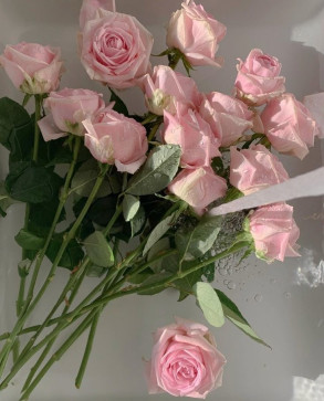 , 19