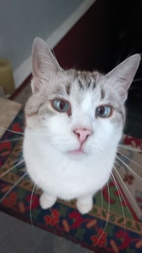 Sky, 19, Germany