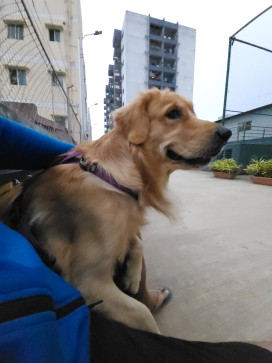 Shiva, 29, India