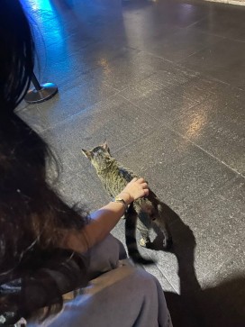 Morty, 22, Philippines