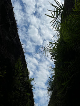 Sandeep More, 40, India