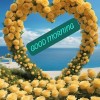 Amit