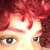 catarina