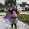 py