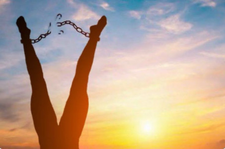 Cookies , 99, South Africa