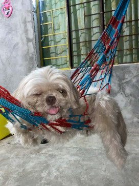 Brea Mae Ros, 25, Philippines