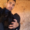 Moroccan
