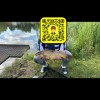 Ed