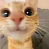 Aaaaa