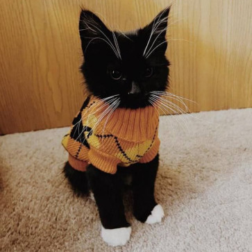 Mango, 28, Russian Federation