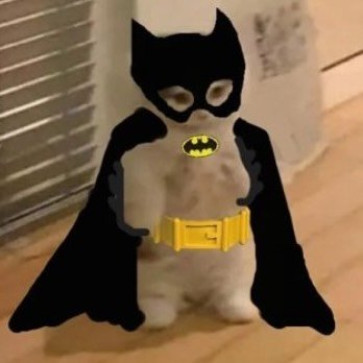 Salman Noushad, 22, India