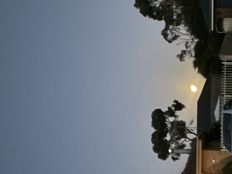 JustChecking, 30, Australia
