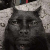 zzZ