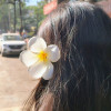 Aastha