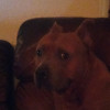 Kyler