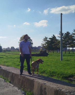 Alex, 32, Serbia