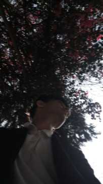 Alvarez, 18, India