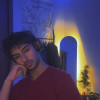 Tanveer Anees