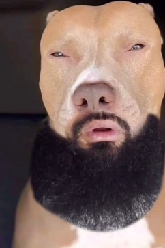 AITHER XS AITHER, 18, Algeria