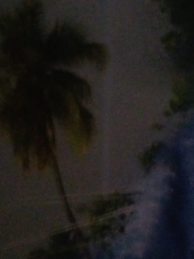 Kannadaboy_25, 25, India