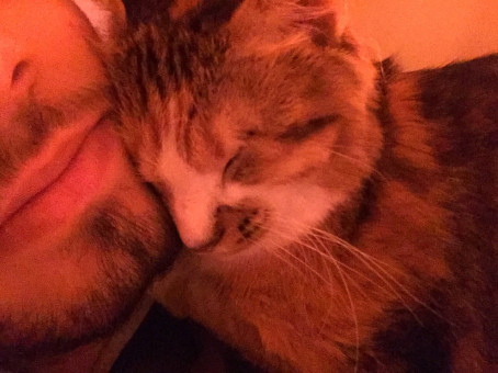 Marvus, 24, Egypt