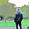 Zedsterr