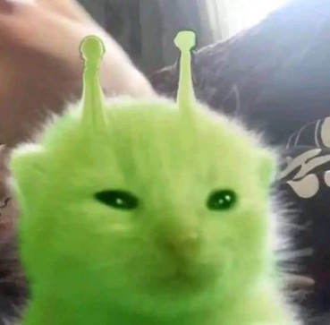Ballsack Sigma, 19, Greenland