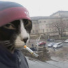 Pratz