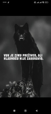 Vahidin Hodzic, 18, Bosnia And Herzegovina