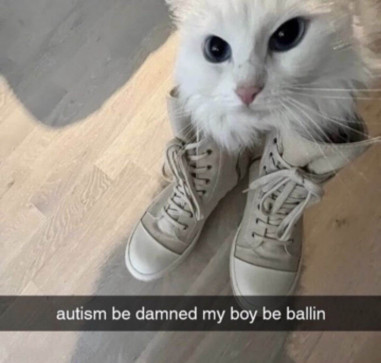 MrMan, 18, United States