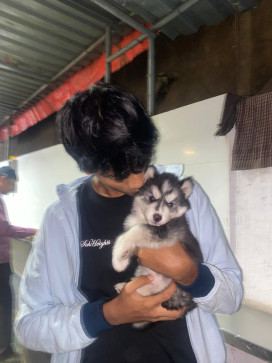 ADITYA SAWANT, 18, India