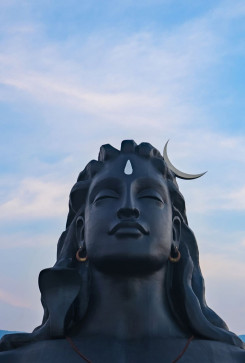 Helx_49, 18, India