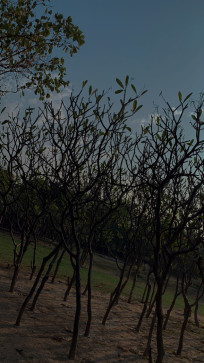 KRISH, 18, India