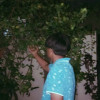 Kartik Chd