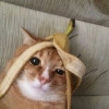 Jake