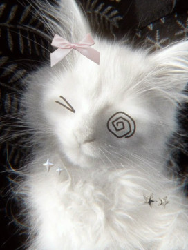 Bubble, 18, Bulgaria
