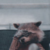 Rocket