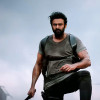 Yashu