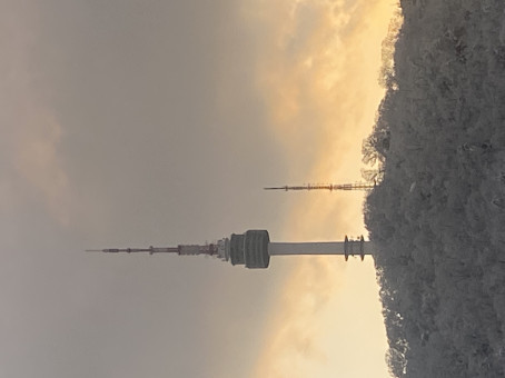 The Hustler69, 25, South Korea