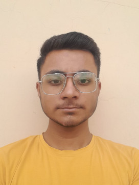 Priyanshu Parashar, 18, India