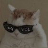 ZORO