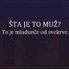 marko