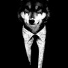 Mr_Wolf