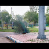 Nitish