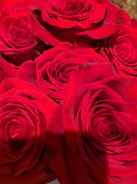 Rose Rose, 21, Canada