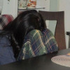 Kisha